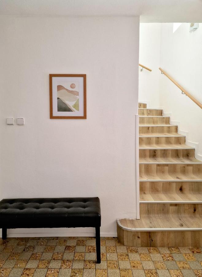 Cejkovsky Dvorek سيكوفيتش المظهر الخارجي الصورة